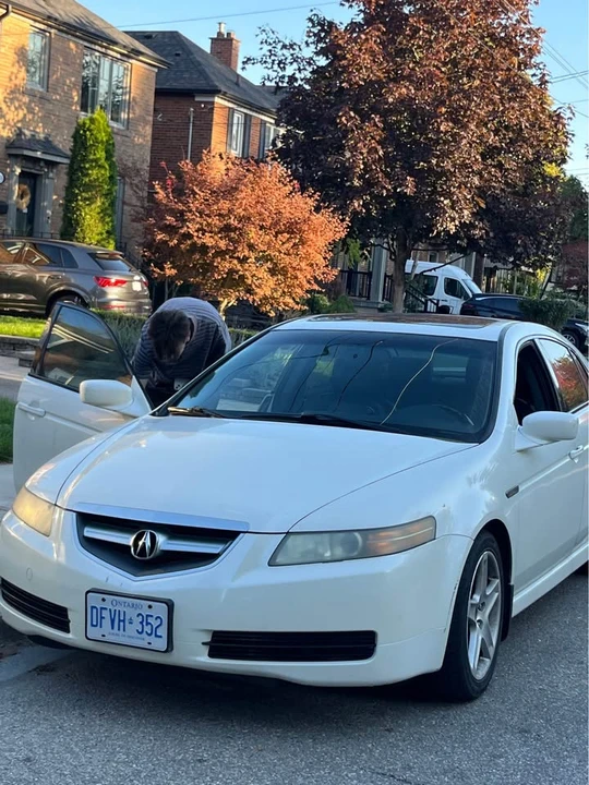 2006 Acura TL 3rd Gen - Image 10 of 10