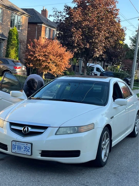 2006 Acura TL 3rd Gen - Image 5 of 10