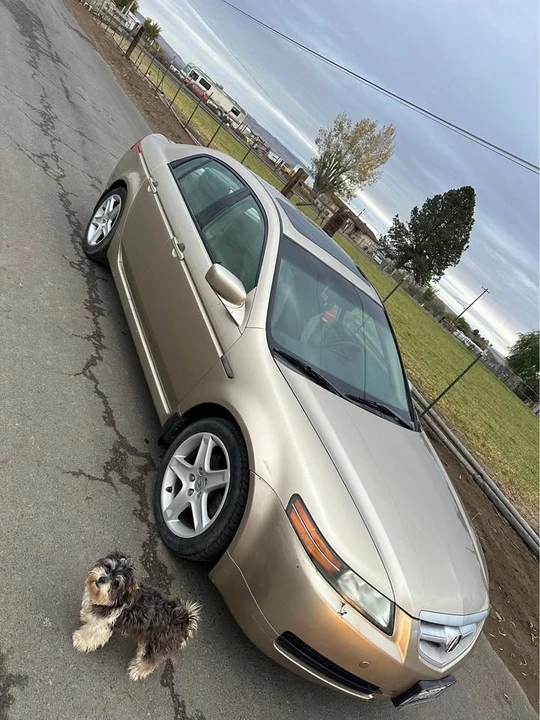 2006 Acura TL 3rd Gen - Image 2 of 9