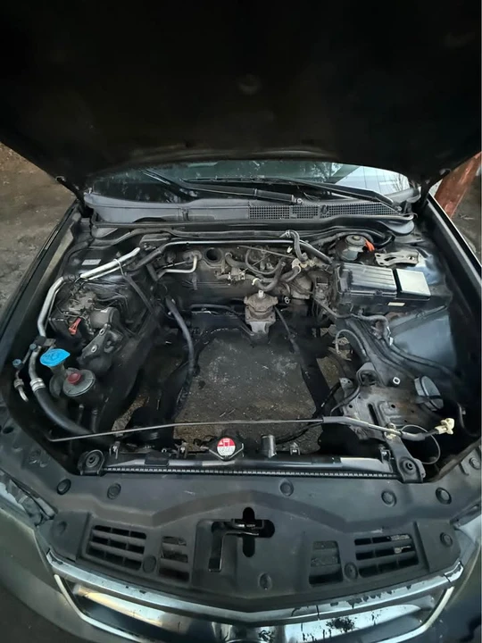 2006 Acura TSX 1st Gen - Image 13 of 13