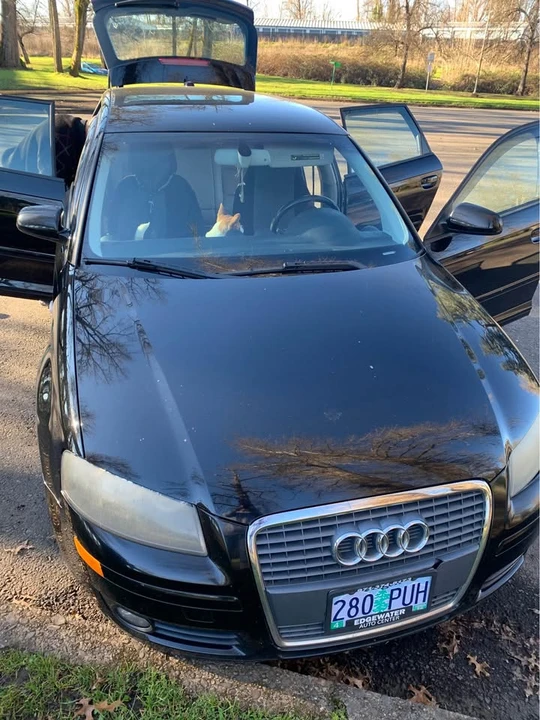 2006 Audi 8P A3 - Image 9 of 9