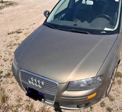 2006 Audi A3 Sportback e-tron