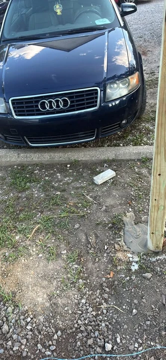 2006 Audi B6 A4 - Image 4 of 5