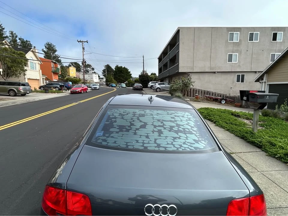 2006 Audi B7 A4 - Image 7 of 13