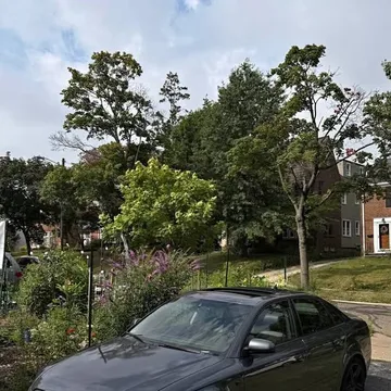 2006 Audi A4 2.0T Sedan 4D