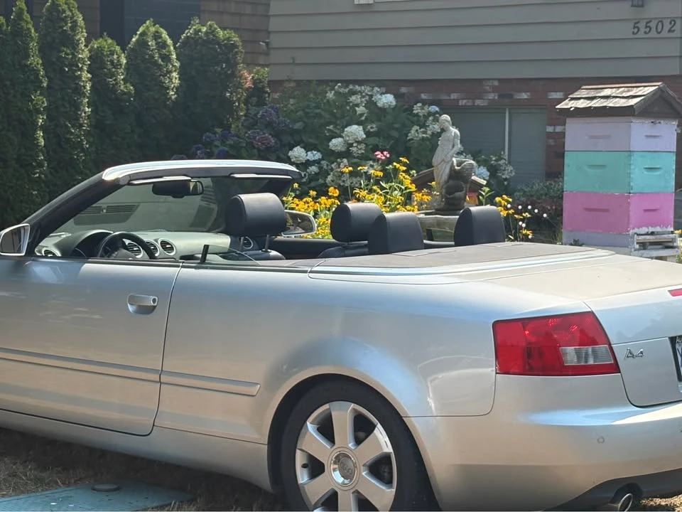 2006 Audi B7 A4 - Image 6 of 7