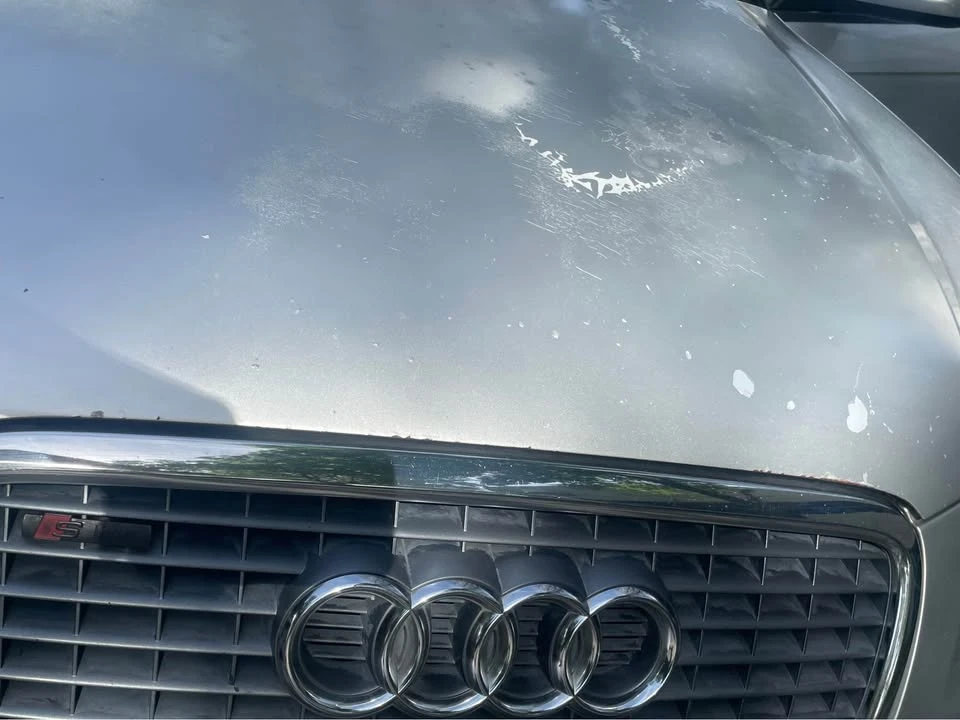2006 Audi 8P A3 - Image 18 of 19