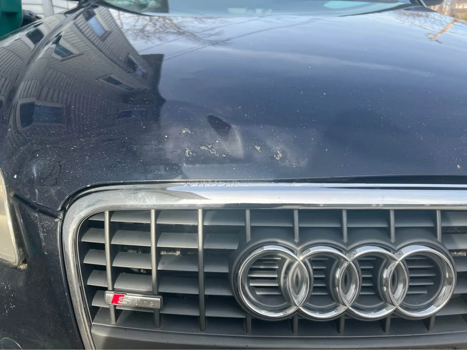 2006 Audi B7 A4 - Image 8 of 10