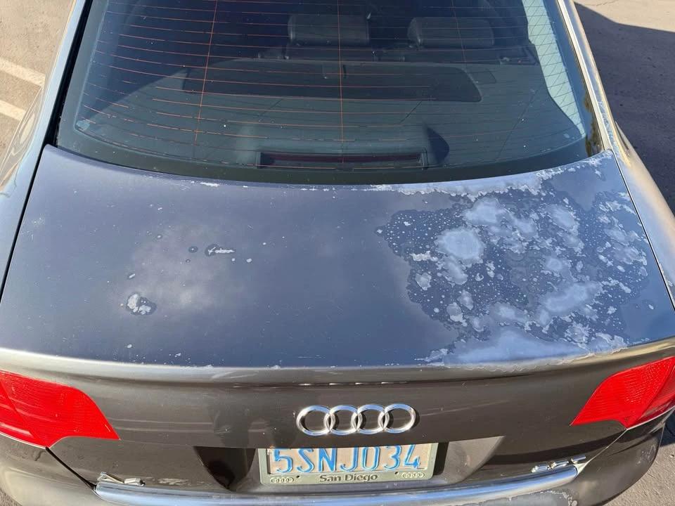 2006 Audi B7 A4 - Image 16 of 16