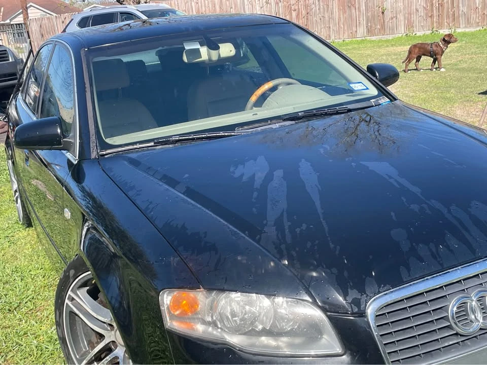 2006 Audi B7 A4 - Image 6 of 7