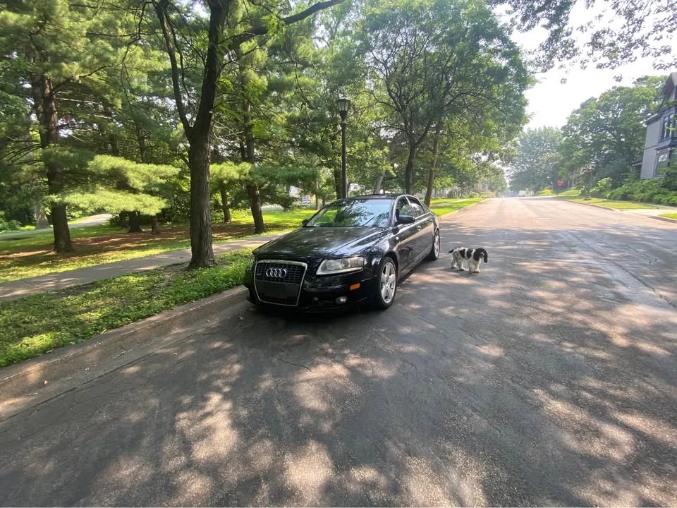 2006 Audi C6 A6 - Image 6 of 8