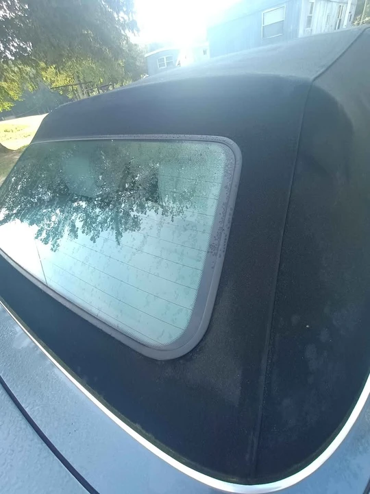 2006 BMW E46 3 Series - Image 13 of 16