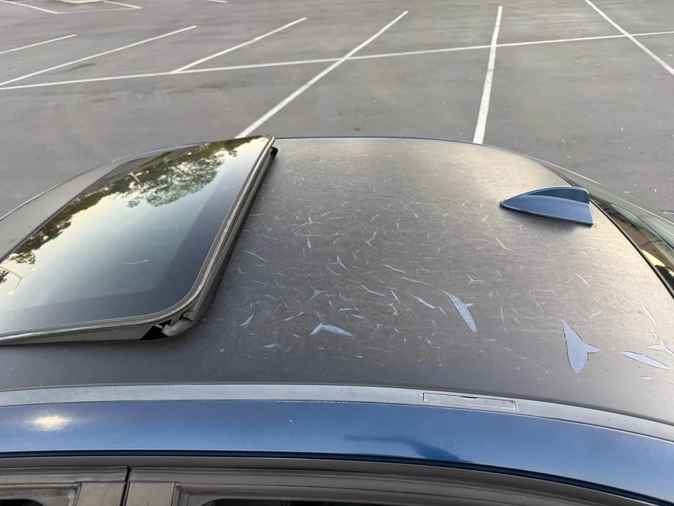 2006 BMW E90 3 Series Sedan - Image 15 of 17