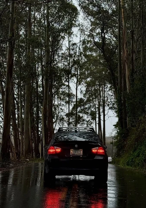 2006 BMW E90 3 Series Sedan - Image 2 of 8