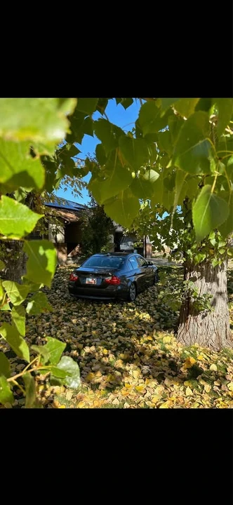 2006 BMW E90 3 Series Sedan - Image 20 of 20
