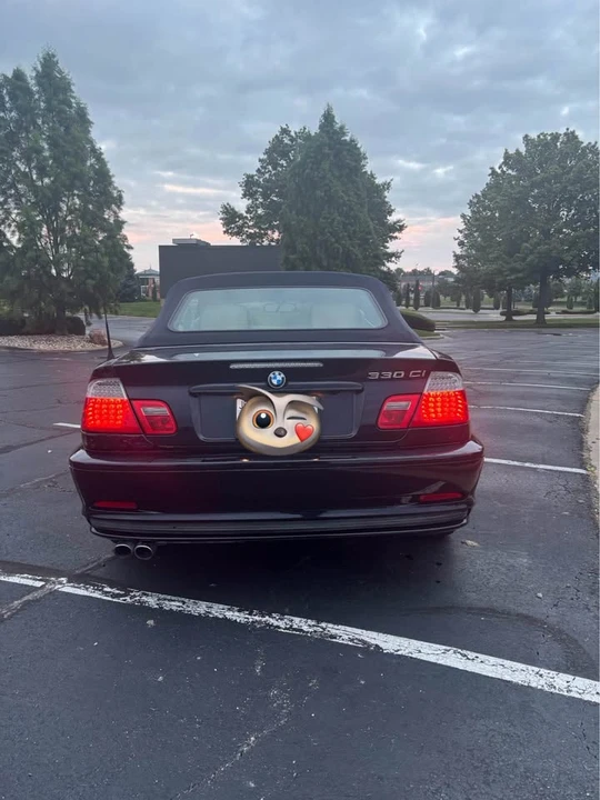 2006 BMW E46 330i & 330Ci - Image 15 of 20