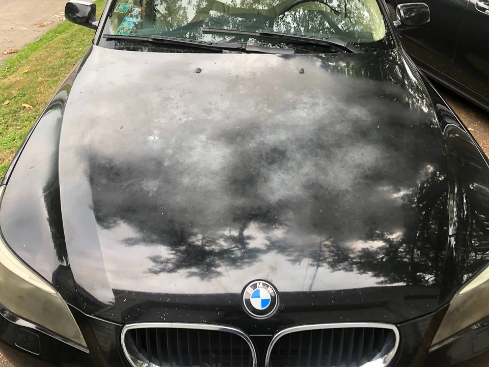 2006 BMW E61 5 Series Touring - Image 7 of 13