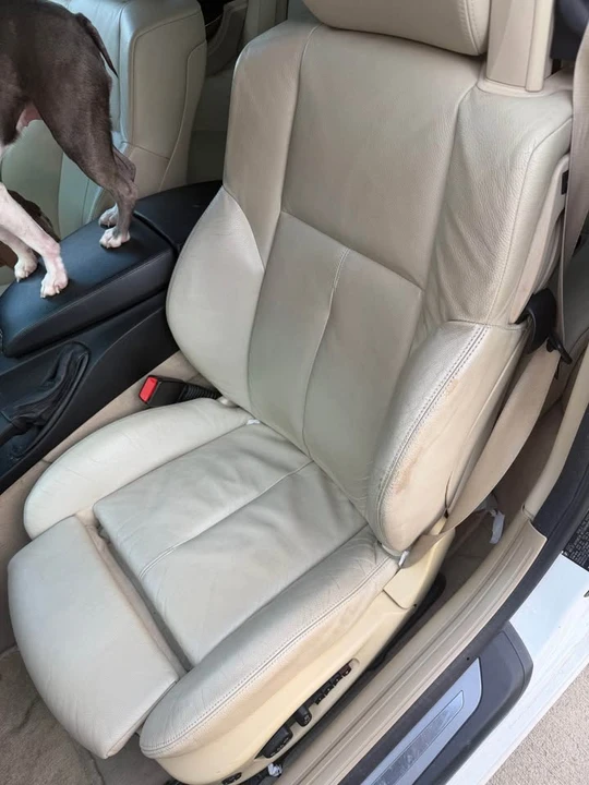 2006 BMW E63/E64 645Ci & 650i - Image 2 of 8