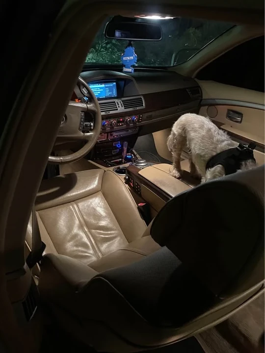 2006 BMW E65/E66 750i & 760i Sedan - Image 9 of 12