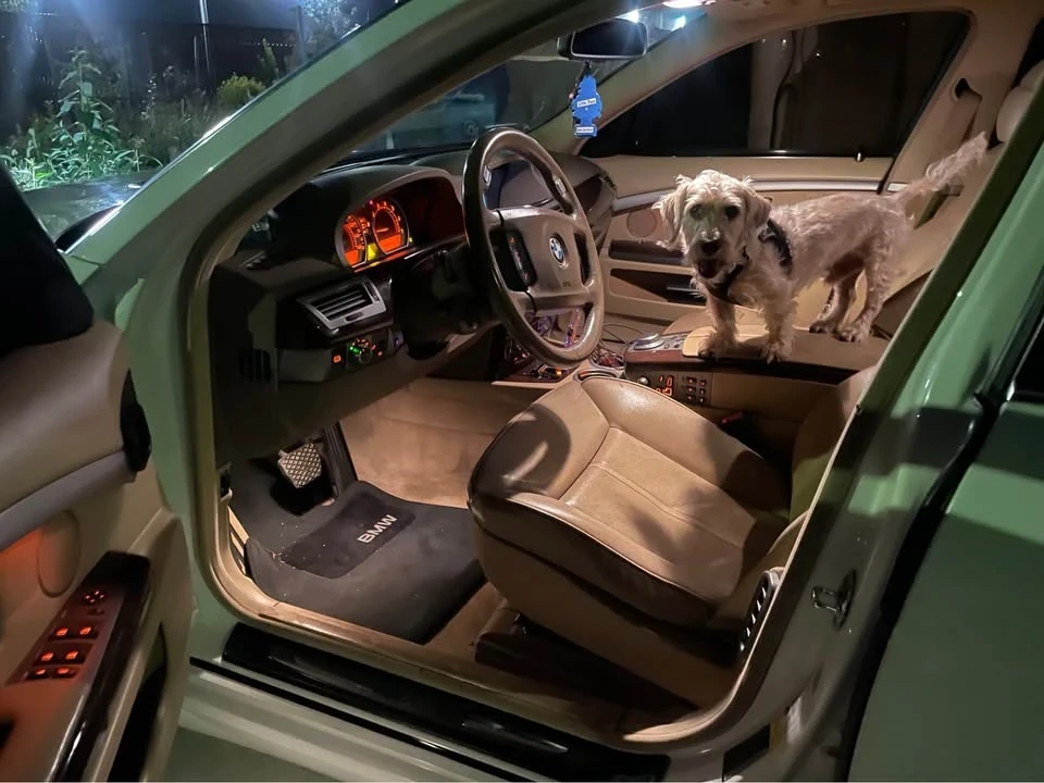 2006 BMW E65/E66 750i & 760i Sedan - Image 8 of 12