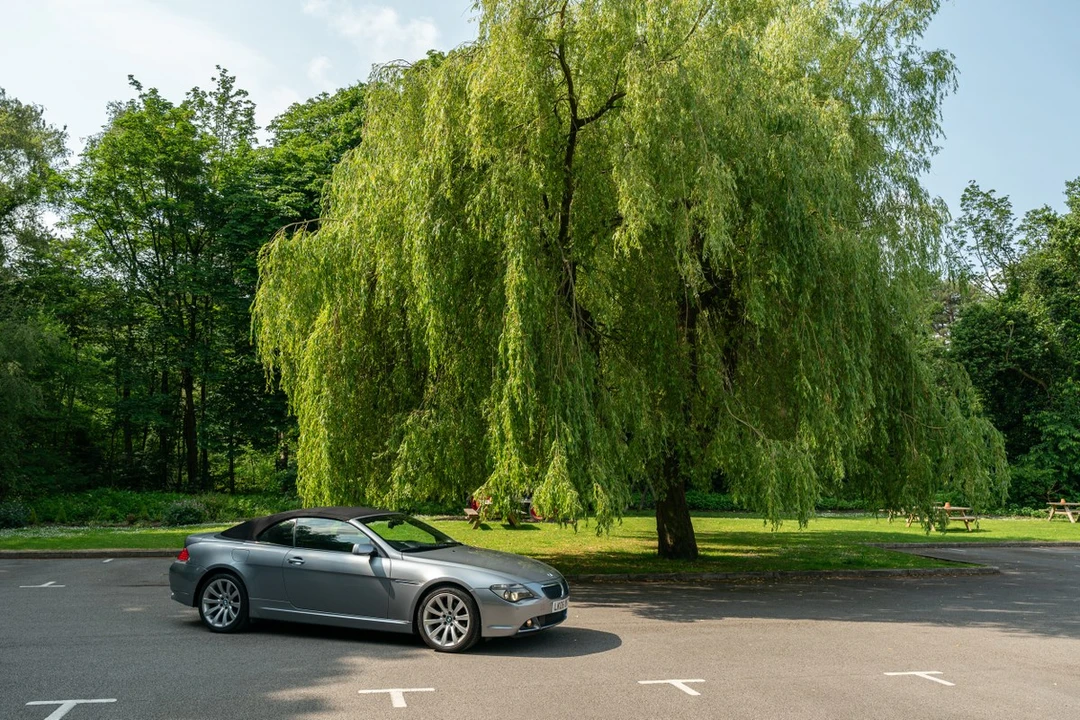 2006 BMW E63/E64 6 Series - Image 23 of 30
