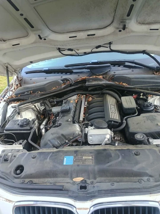 2006 BMW E60 M5 - Image 7 of 7
