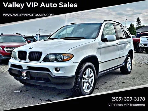 2006 BMW X5 3.0i 4dr SUV