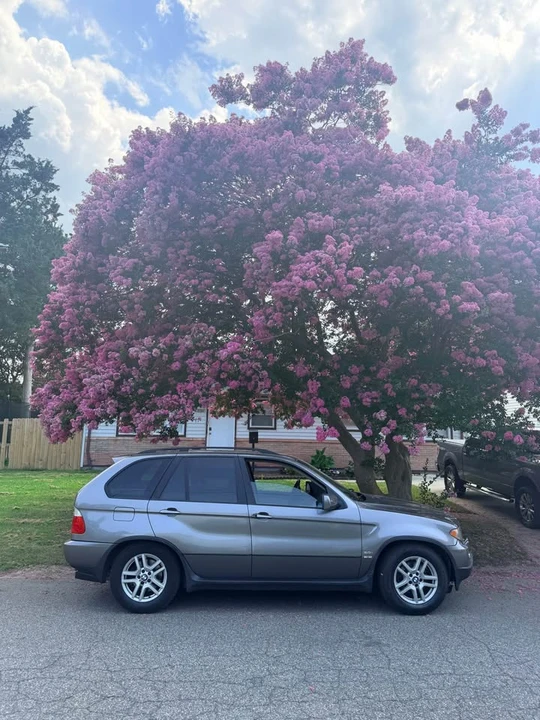 2006 BMW E53 X5 - Image 3 of 4