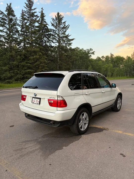 2006 BMW E53 X5 - Image 3 of 10