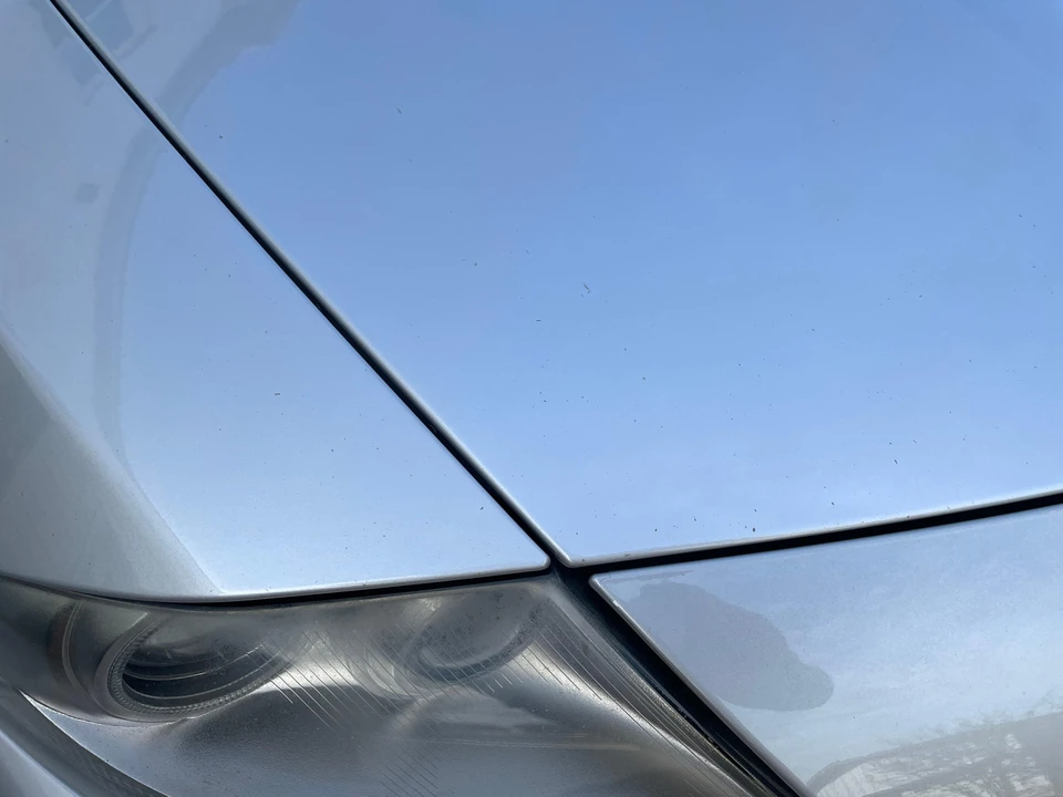 2006 BMW E86 Z4 Coupe - Image 13 of 31