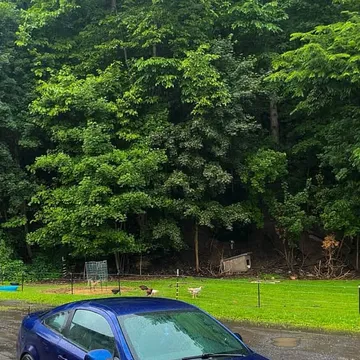 2006 Chevrolet Cobalt SS