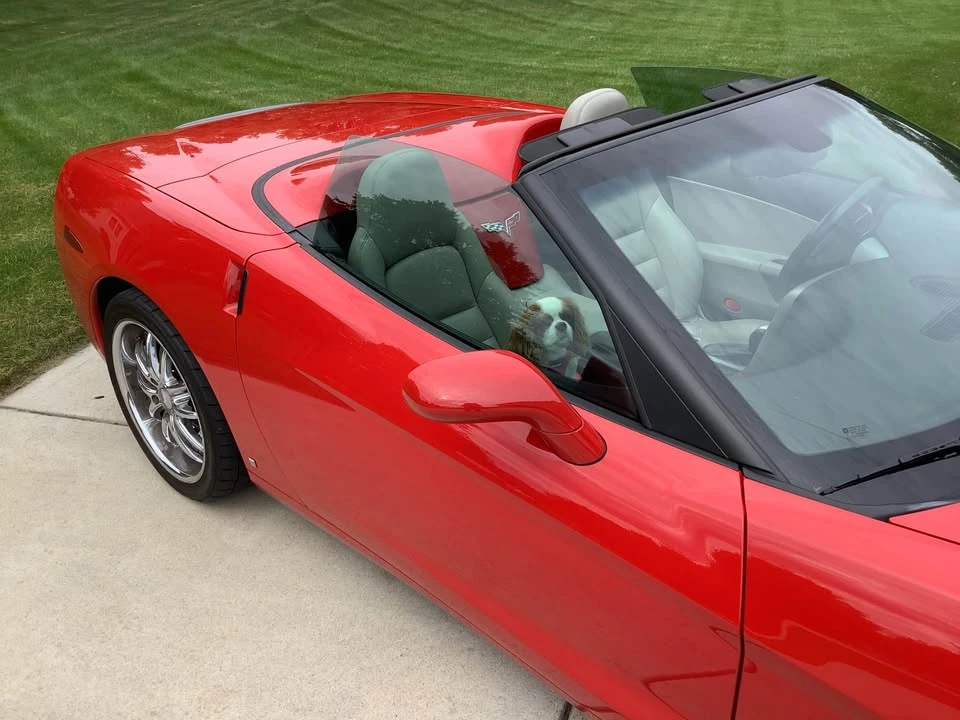 2006 Chevrolet Corvette C6 - Image 6 of 6