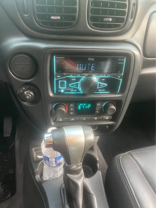 2006 Chevrolet Trailblazer - Image 11 of 11