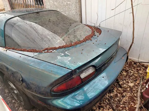 2006 Chevrolet Camaro