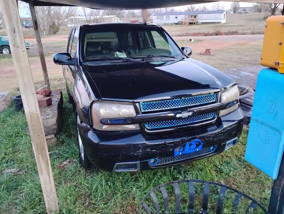 2006 Chevrolet Trailblazer - Image 3 of 11
