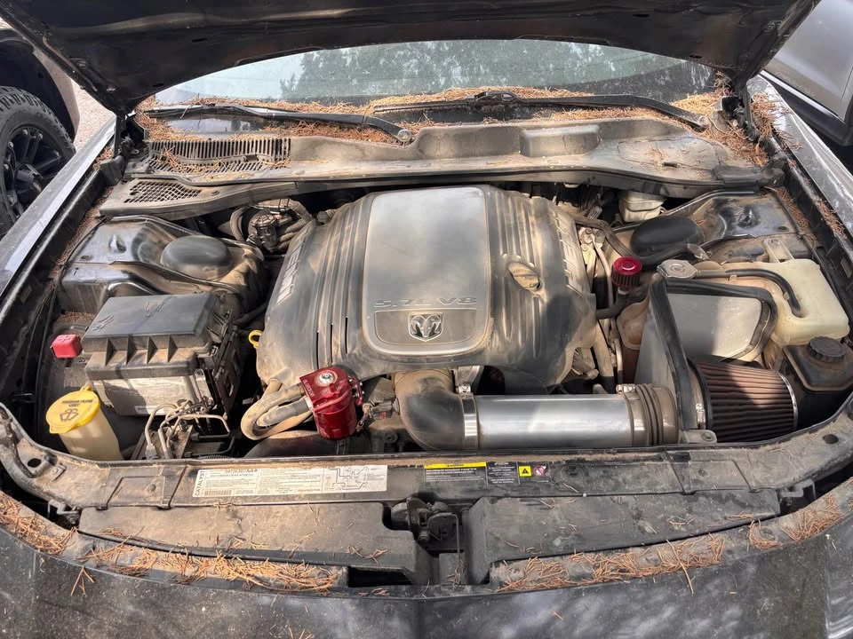 2006 Dodge Charger 6th Gen - Image 3 of 13