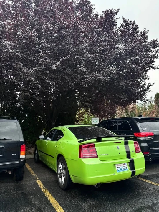 2006 Dodge Charger 6th Gen - Image 2 of 9