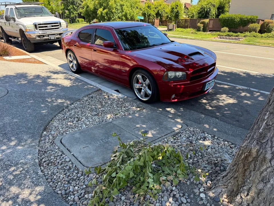 2006 Dodge Charger SRT & 392 6th Gen - Image 6 of 8