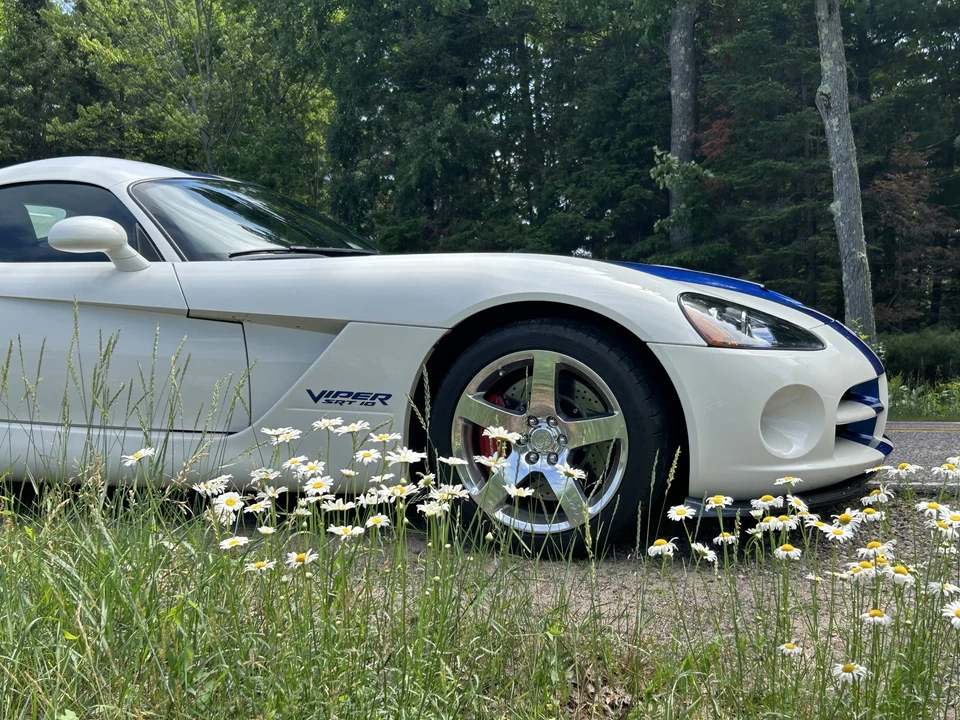 2006 Dodge Viper 3rd Gen - Image 12 of 31