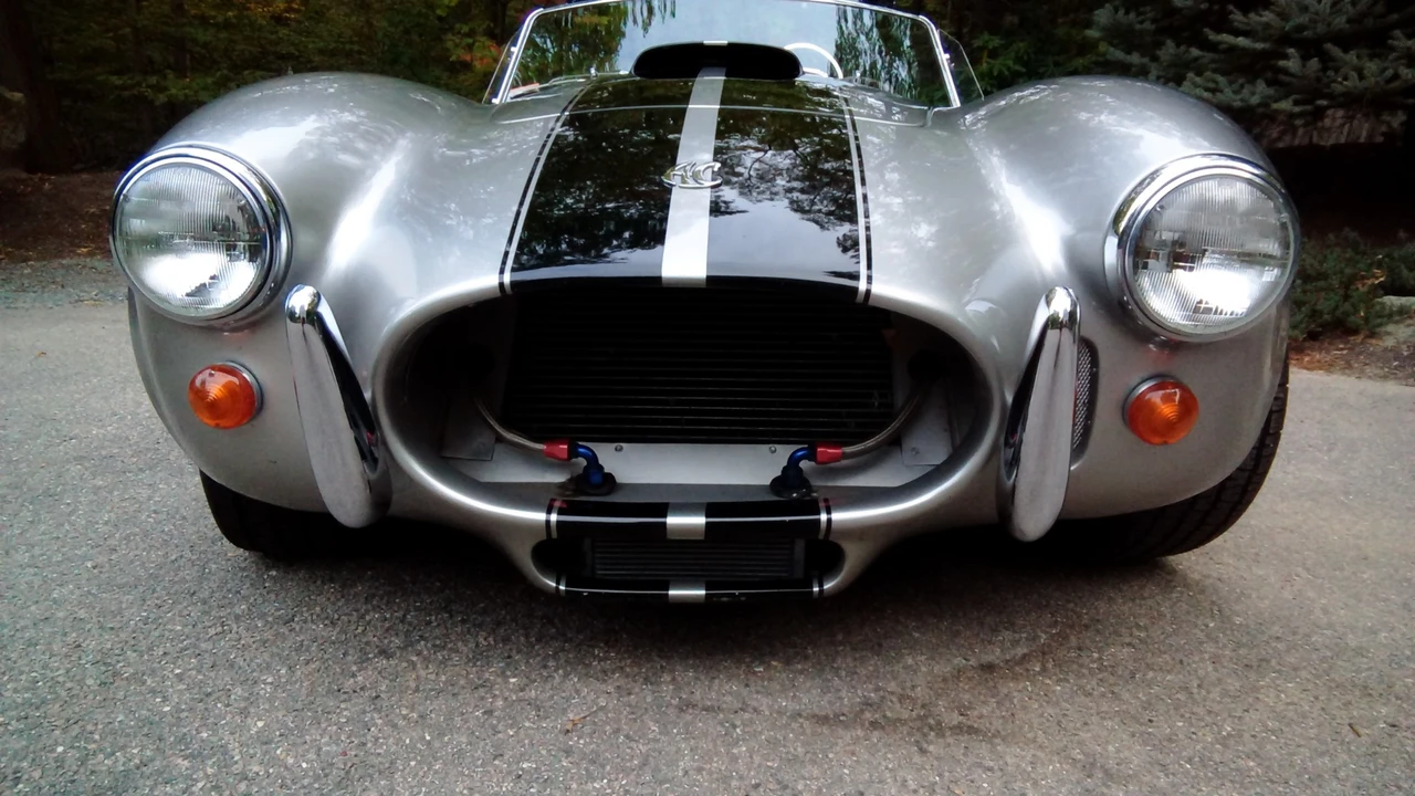 2006 Shelby Cobra Replica - Image 15 of 31
