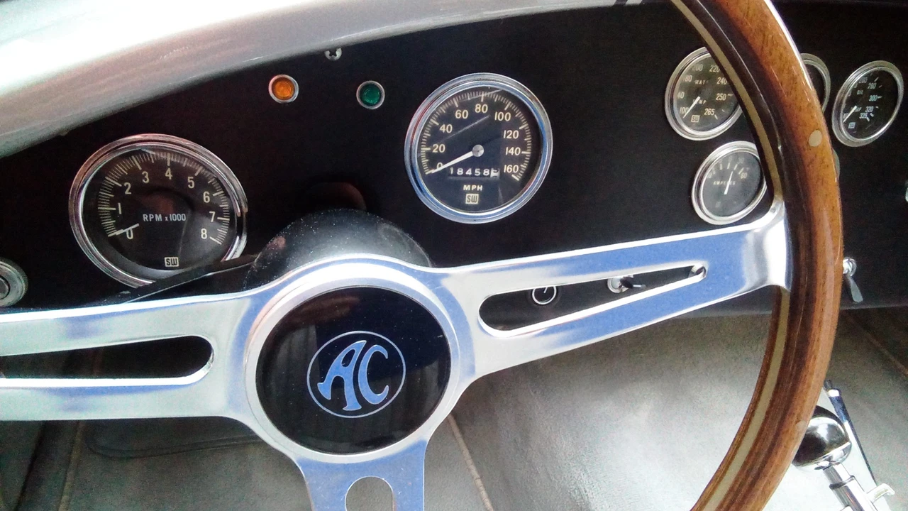2006 Shelby Cobra Replica - Image 31 of 31