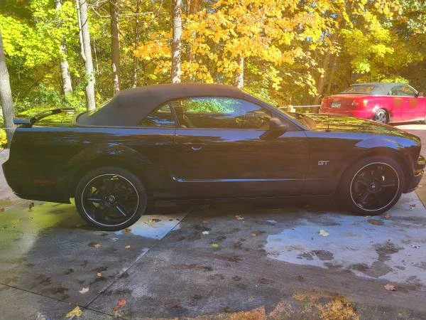 2006 Ford S197 Mustang - Image 8 of 21