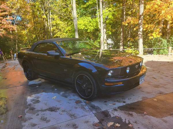 2006 Ford S197 Mustang - Image 9 of 21