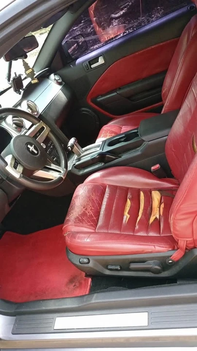 2006 Ford GT 1st Gen - Image 11 of 13