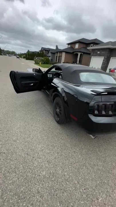 2006 Ford S197 Mustang - Image 10 of 10