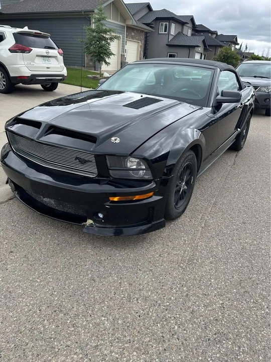2006 Ford S197 Mustang - Image 2 of 10