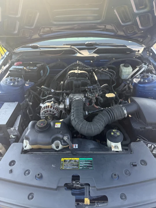 2006 Ford S197 Mustang - Image 14 of 19