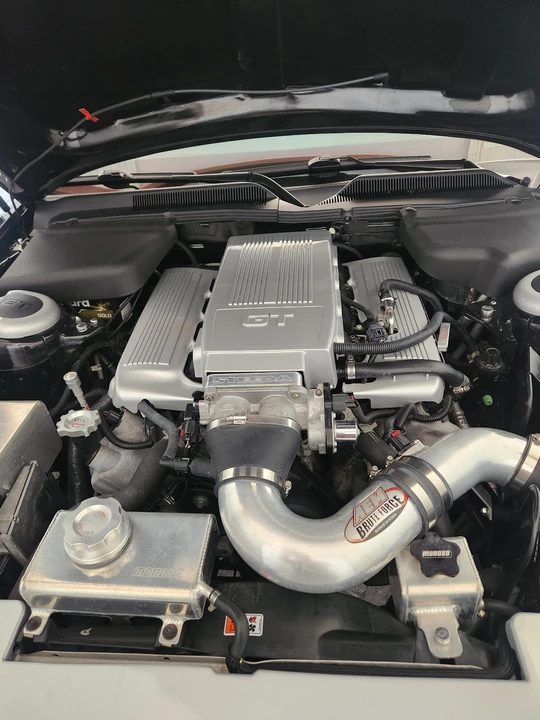 2006 Ford S197 Mustang - Image 14 of 21