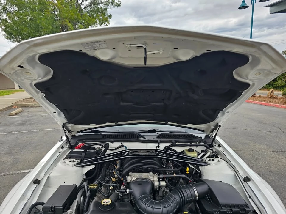 2006 Ford S197 Mustang - Image 19 of 20