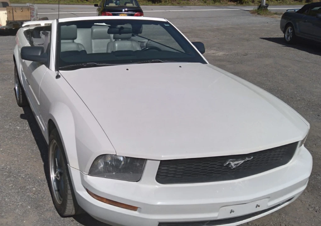 2006 Ford S197 Mustang - Image 12 of 21